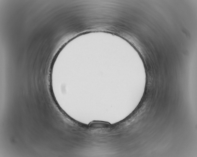 X0000111631093200908281129