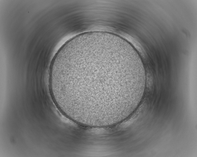 X0000111631094200908281129