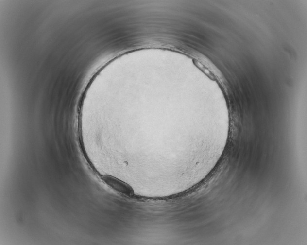 X0000111631096200908281129