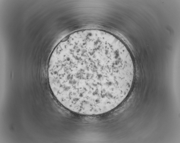 X0000111631097200908281129