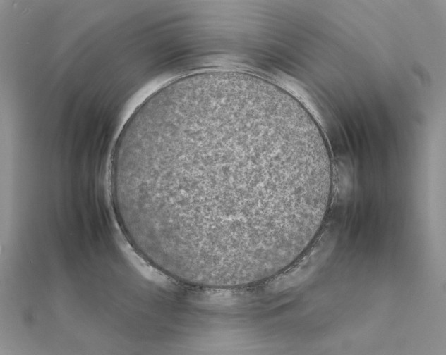 X0000111631098200908281129