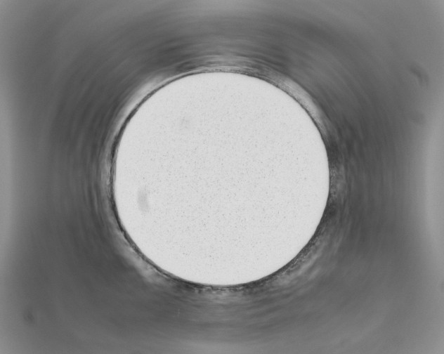 X0000111631099200908281129
