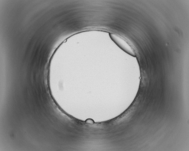 X0000111631102200908281129