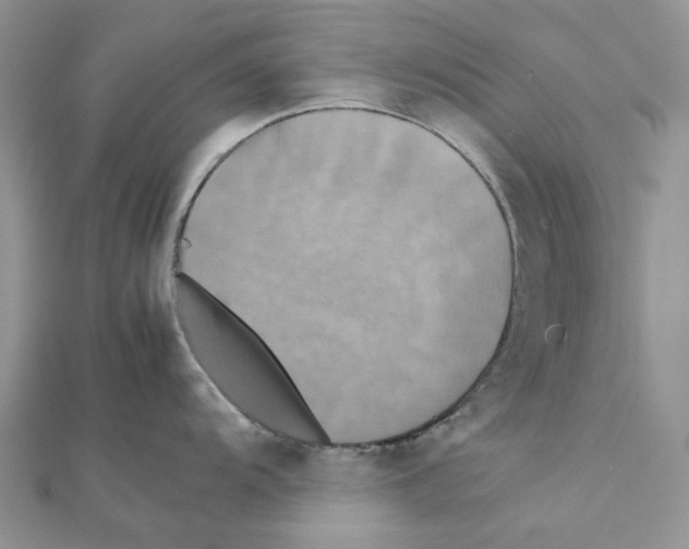 X0000111631104200908281129