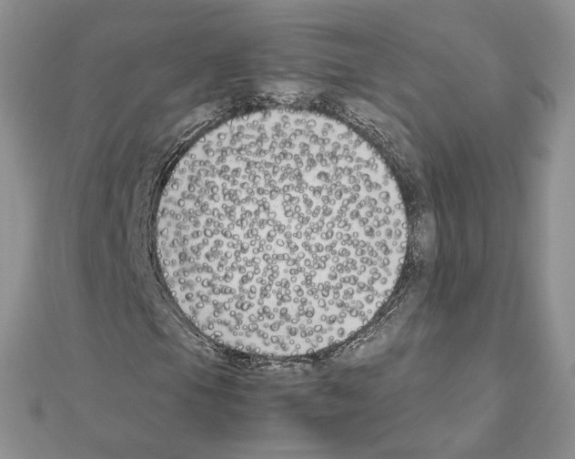 X0000111631105200908281128