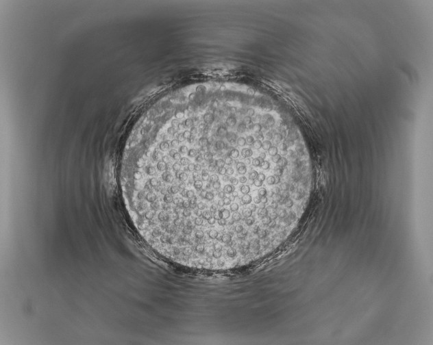 X0000111631106200908281128