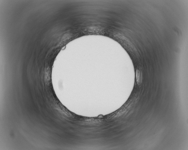 X0000111631107200908281128