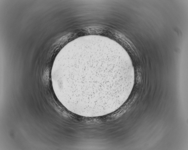 X0000111631108200908281128