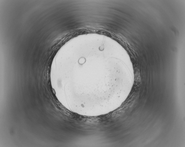 X0000111631110200908281128