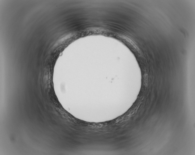 X0000111631111200908281128