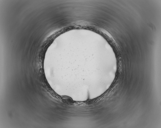 X0000111631112200908281128