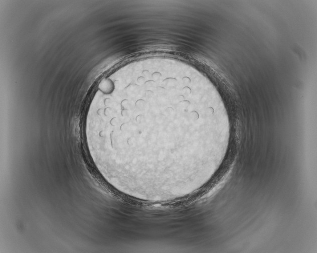 X0000111631113200908281128