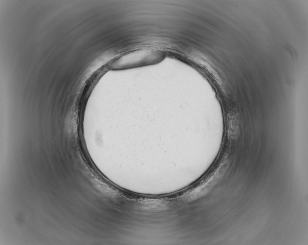 X0000111631114200908281128
