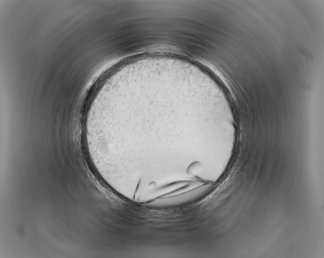 X0000111631115200908281128
