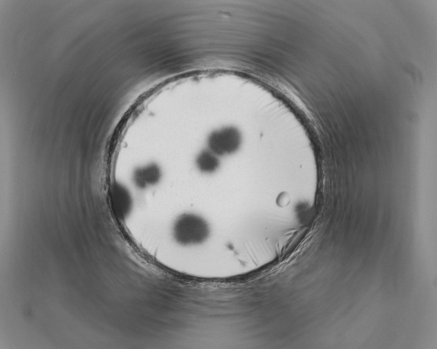 X0000111631116200908281128
