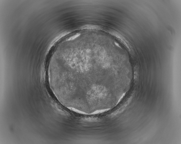 X0000111631117200908281128