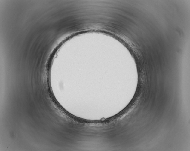X0000111631118200908281128