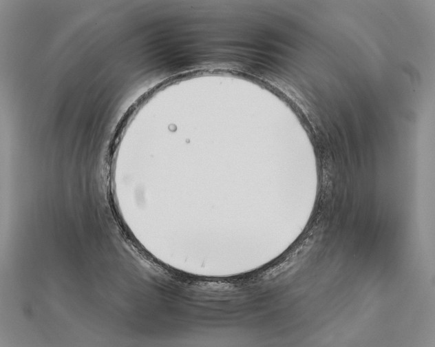 X0000111631119200908281128