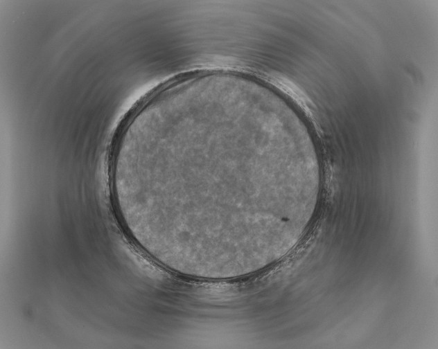 X0000111631120200908281128
