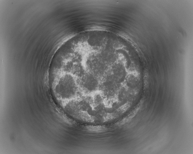 X0000111631121200908281128