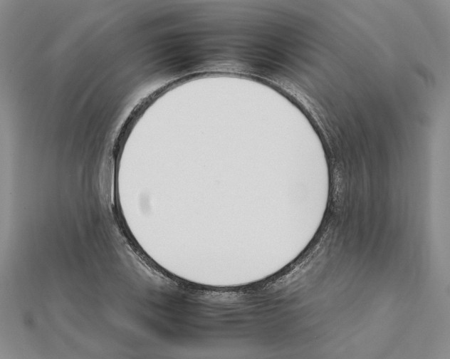 X0000111631123200908281128