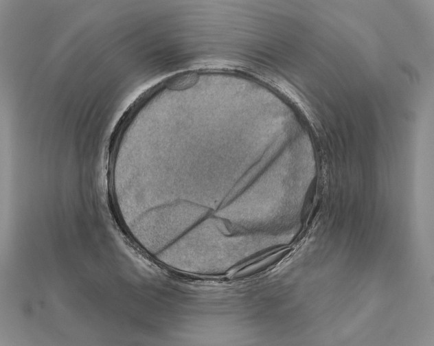 X0000111631124200908281128