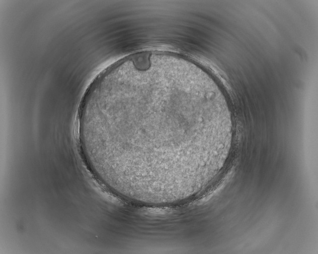 X0000111631125200908281128