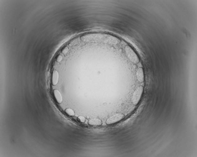X0000111631126200908281128