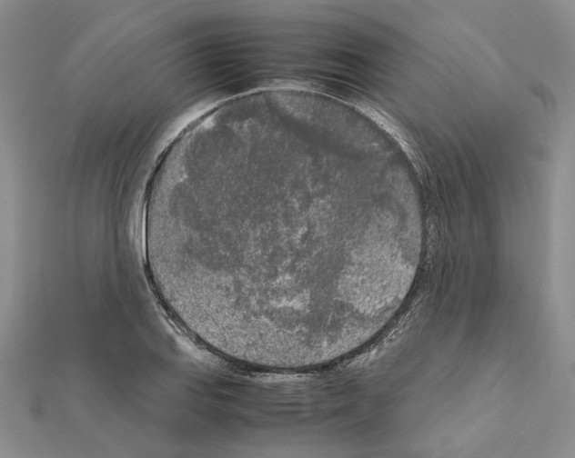 X0000111631127200908281128