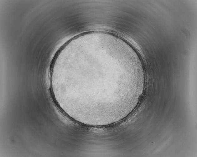 X0000111631128200908281128