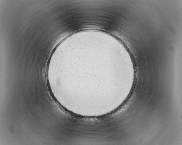 X0000111631129200908281128