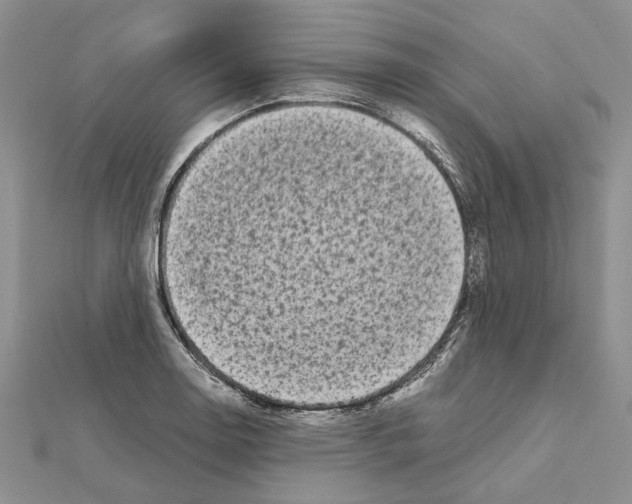 X0000111631130200908281128