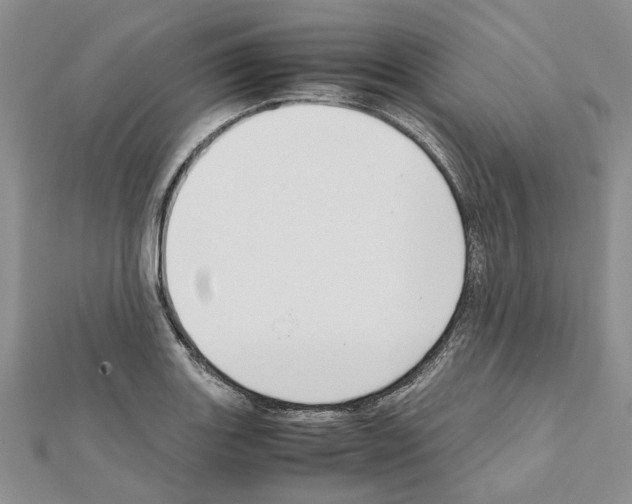 X0000111631131200908281128