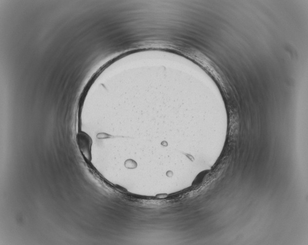 X0000111631132200908281128