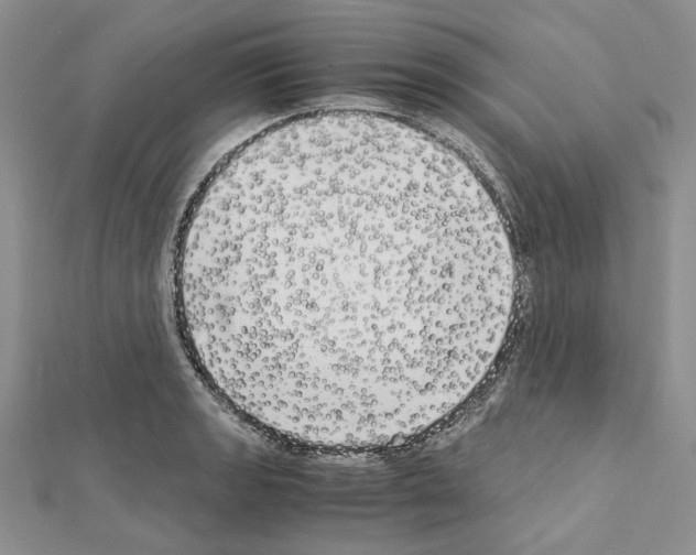 X0000111631133200908281128