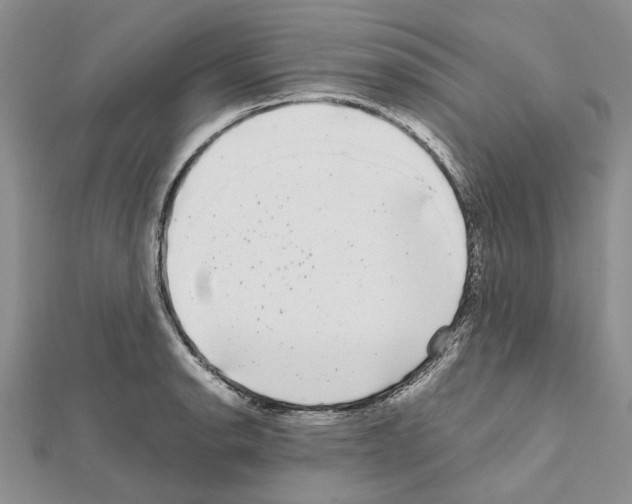 X0000111631134200908281128