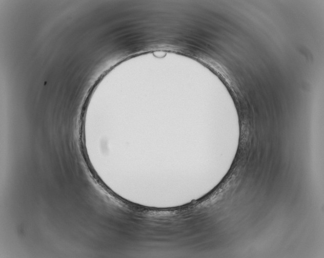 X0000111631135200908281128