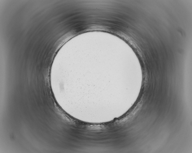 X0000111631137200908281128