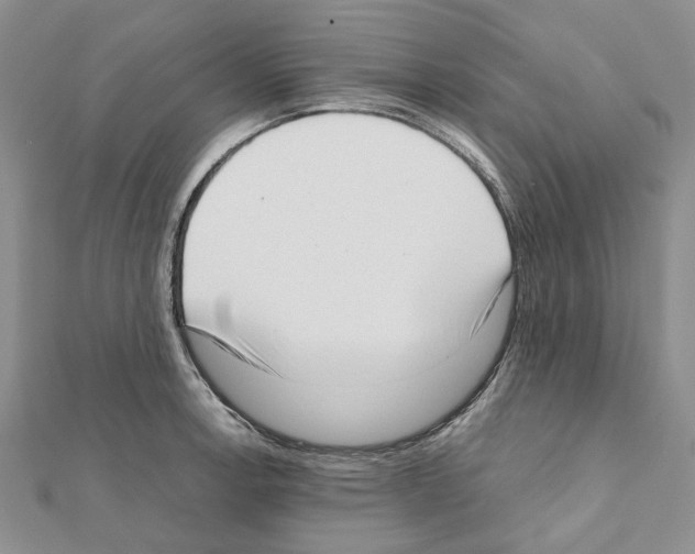X0000111631138200908281129