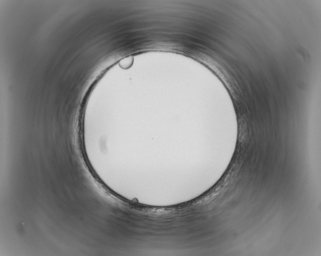 X0000111631139200908281129