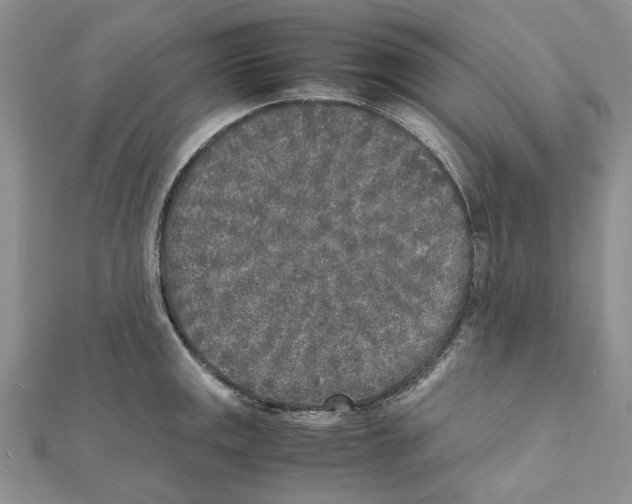 X0000111631141200908281129
