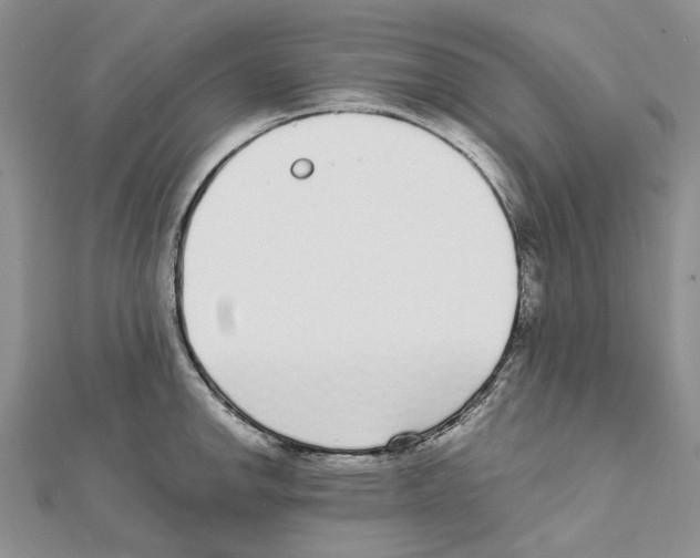 X0000111631142200908281129