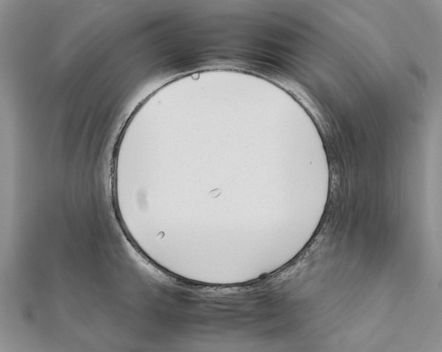 X0000111631143200908281129