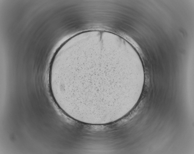 X0000111631144200908281129