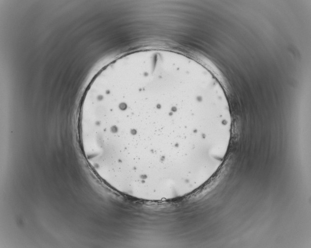 X0000111631146200908281129