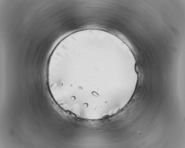 X0000111631148200908281129