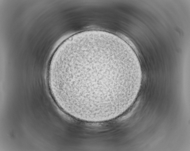 X0000111631149200908281129