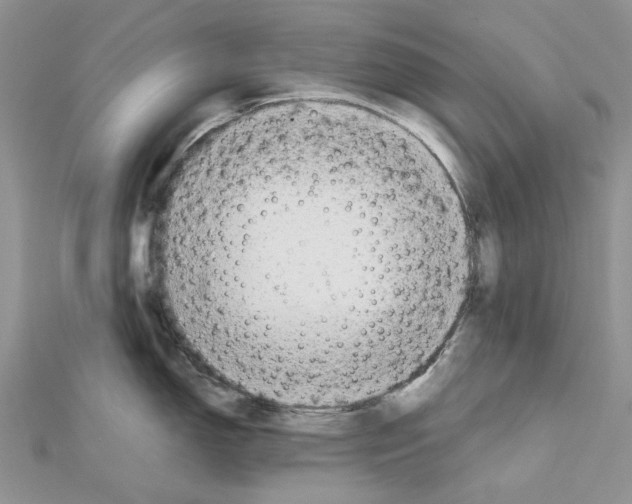 X0000111631150200908281129