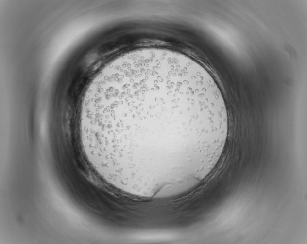 X0000111631151200908281129