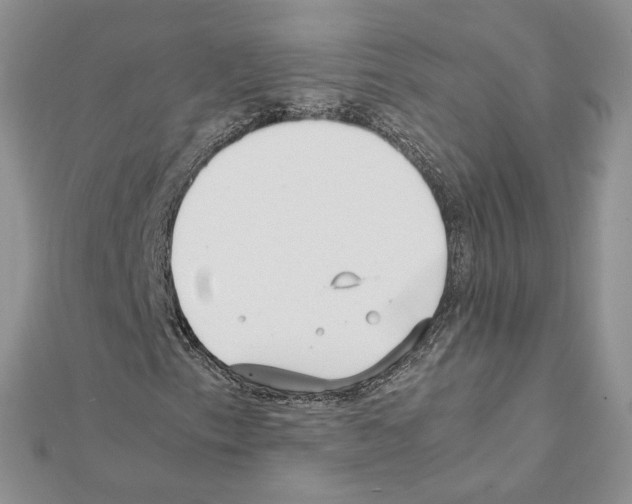 X0000111631153200908281128